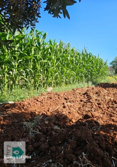 ارض مميزة للبيع طبربور 