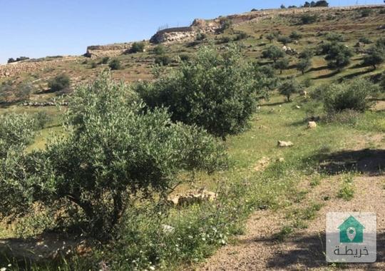 ارض ب طبربور للبيع 