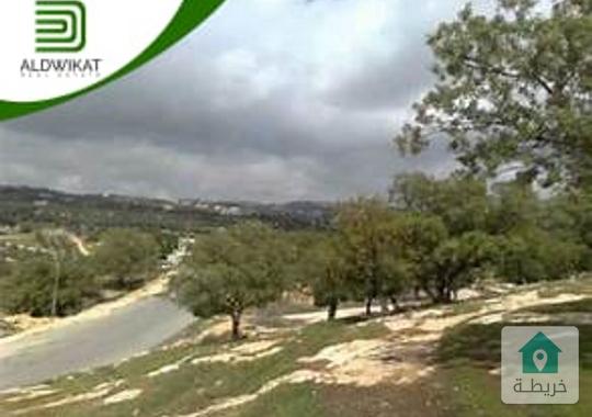 ارض للبيع في بدر الجديدة مساحة الارض 595 م موقع مميز