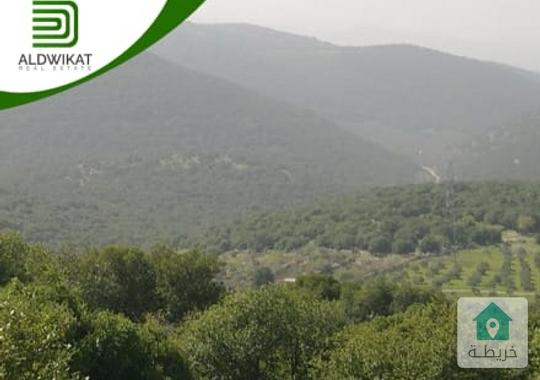 ارض للبيع في بدر الجديدة مساحة الارض 600 م موقع مميز