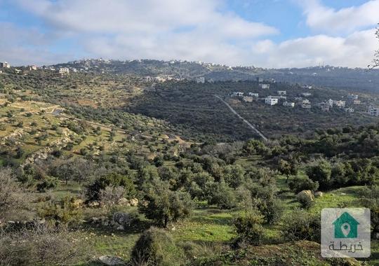 أرض بمساحة 1500م تنظيم سكن ب أخضر بأحكام خاصة في بدر الجديدة 1كم عن منتزه الإستقلال من المالك مباشرة