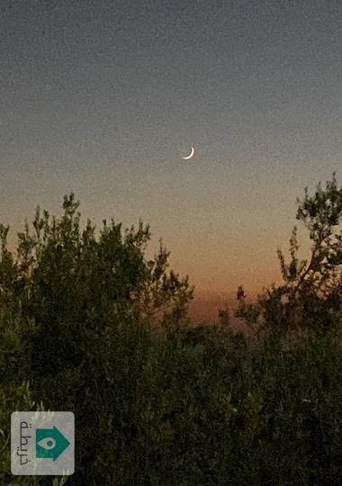 ارض للبيع في بدر الجديدة