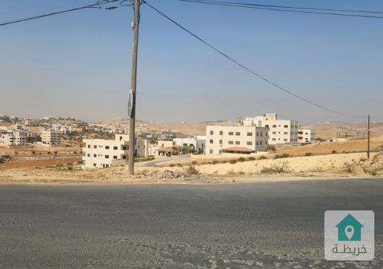 *أرض للبيع في شفا بدران – عين الذيب شارع العشرين